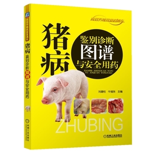 猪病鉴别诊断图谱与安全用药 养猪技术大全 猪病诊治图谱大全 兽医畜牧 猪病诊断与防治一本通 养猪书籍 【凤凰新华书店旗舰店】