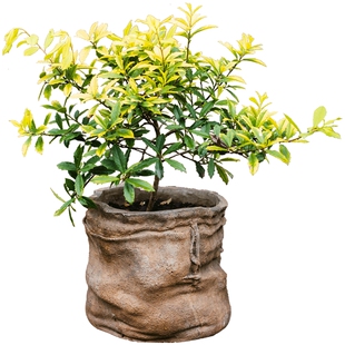 掬涵水泥麻布口袋花盆花篮花器种植绿植复古陶瓷专用多肉北欧INS