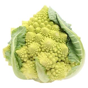 宝塔菜花椰菜蔬菜种子苗特色菜花花菜孑四季籽种蔬菜种籽秧菜籽