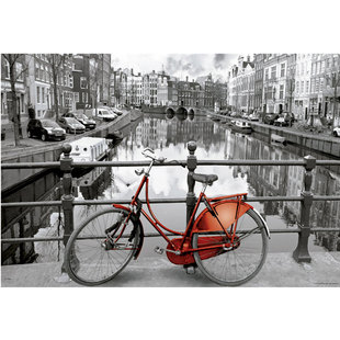 现货Educa荷兰单车1000片西班牙进口拼图雷诺瓦成人益智玩具成年