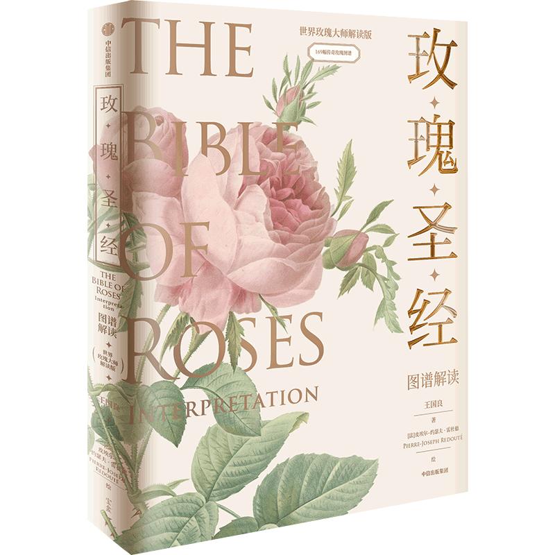玫瑰圣经图谱解读张辰亮