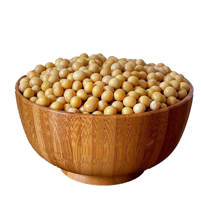 黄豆自种小粒黄豆发豆芽做豆浆