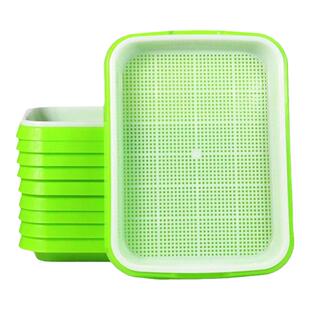 蒜苗种植盆大蒜水培蔬菜器皿芽苗菜育苗盘家用豆芽发芽盆神器大号