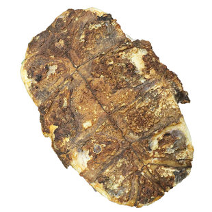 龟板中药材醋制炒炙粉旱龟壳下甲乌龟壳龟甲胶原料可磨粉售醋鳖甲