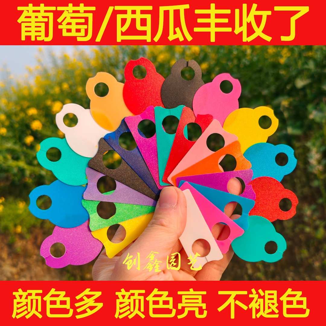 葡萄记号牌西瓜授粉记号牌葡萄标记卡西瓜标记牌瓜果标记吊牌