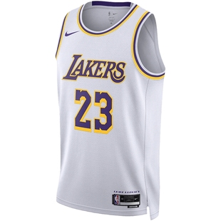 耐克/23 赛季洛杉矶湖人队詹姆斯男子速干无袖球衣DN2081-103