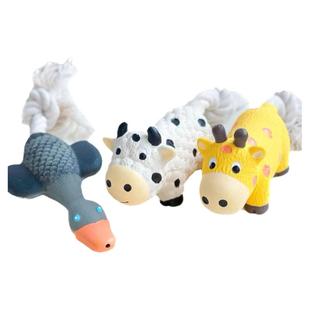 Petio派地奥乳胶玩具发声绳结自嗨解压磨牙洁齿互动拉扯小型犬