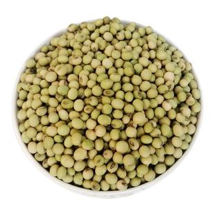 农家自种土黄豆2025年四川本地老品种非转基因绿皮青皮打豆浆专用