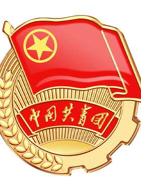 2cm初中生标准款团徽正品
