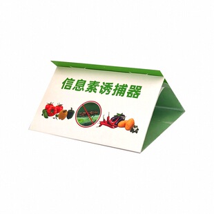 番茄潜叶蛾诱捕器信息素诱芯粘虫板诱蛾板西红柿飞蛾诱导器潜麦蛾