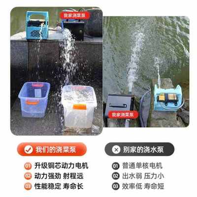 电动车直流浇菜神器浇水机抽水机农用灌溉充电式抽水泵浇水淋菜地