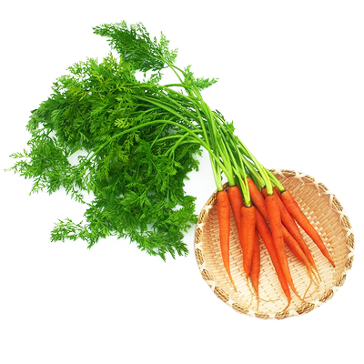 带叶手指胡萝卜沙拉食材新鲜蔬菜