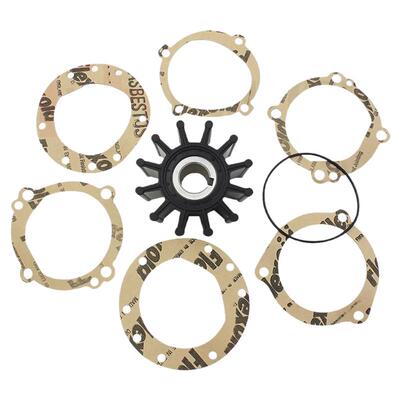 Sherwood Pump Impeller 狮龙船用海水泵橡胶叶轮   10615K