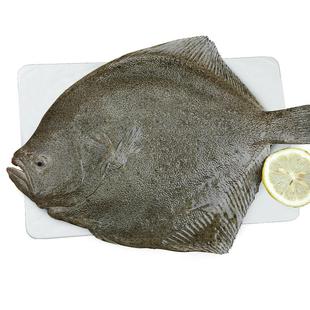 新鲜多宝鱼鲜活大速冻冷冻大比目鱼偏口鱼八宝鱼左口鱼扁口鱼批发