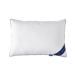康尔馨希尔顿匈牙利95白鹅绒枕芯酒店专用高品质羽绒枕头家用成人