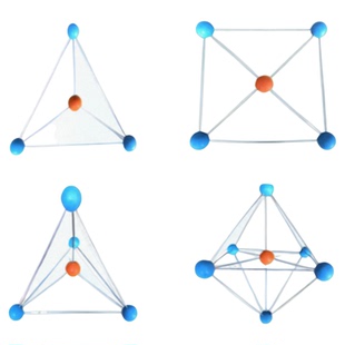 配位离子空间几何构型模型络合物配合物五件化学教学科研大型教具