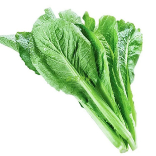 四季甜春菜种子小白菜青菜种籽四季播香芥菜耐寒热阳台盆栽蔬菜孑