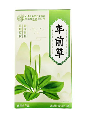 车前草泡水喝的功效与作用尿酸野生干货感染中药材尿路干袋泡茶降