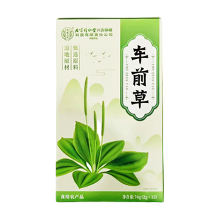 车前草泡水喝的功效与作用尿酸野生干货感染中药材尿路干袋泡茶降
