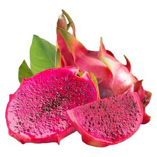 越南红心火龙果新鲜进口水果5斤大果当季整箱现摘现发