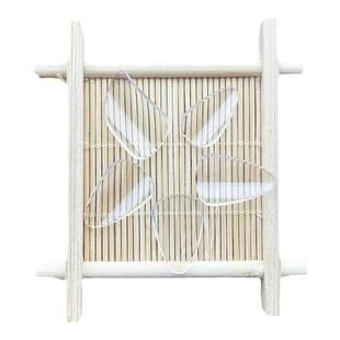 成人儿童入门琵琶指甲专业考级演奏透明赛璐璐义甲玳瑁色初学中号