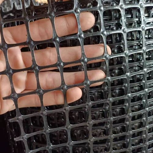 塑料围栏网养殖菜园栅栏户外家用农村拦鸡鸭鹅玉米胶网鱼塘防护网