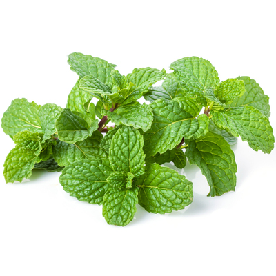 可食用留兰香薄荷叶调酒茶饮装饰