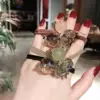 Товары от 鸿达贸易商贸