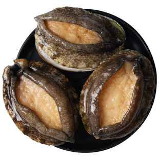 鲍鱼肉鲜活冷冻特大新鲜速冻三去壳小鲍鱼火锅食材年夜饭年货节