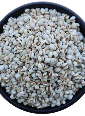 小薏米农家自种药用2025新货500g