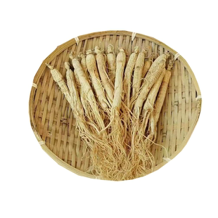 整支生晒参500g东北人参吉林长白山人参干货白参干人参可打粉