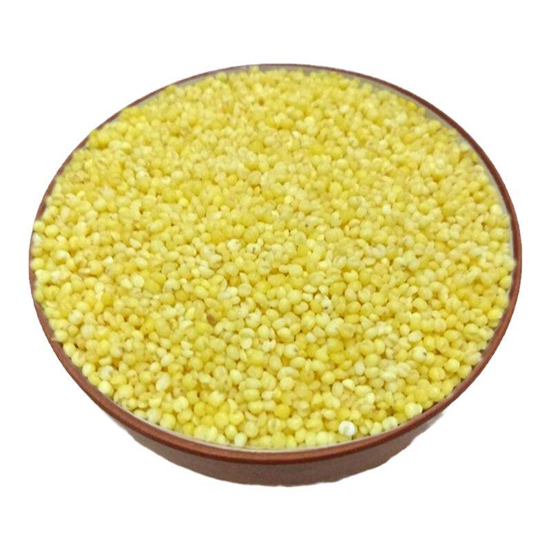 农家小米杂粮黄米新米500g