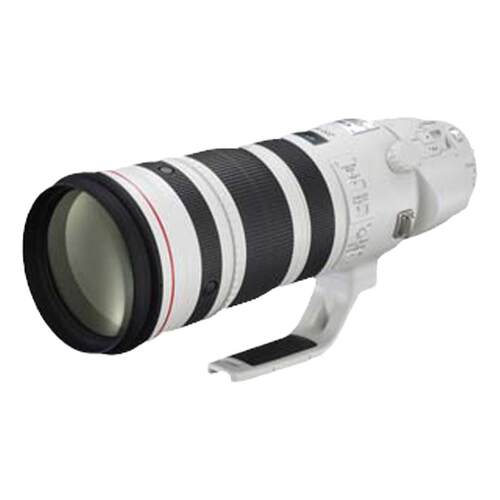Canon/佳能 EF 200-400 mm f4L IS USM Extender 1.4x超远摄 镜头