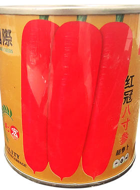 老品种红胡萝卜种子家庭菜园