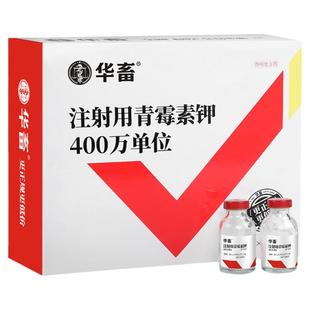 华畜兽用青霉素注射用青霉素钾400万单位猪药丹毒牛羊抗菌消炎药