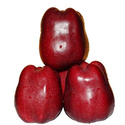 天水花牛苹果特大果王礼盒