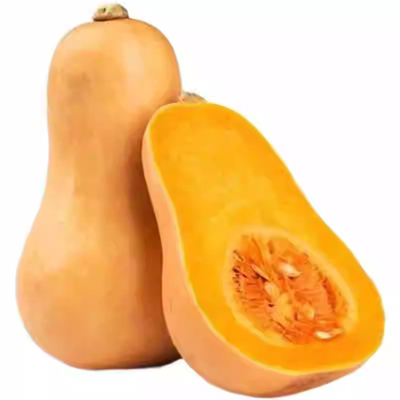 超甜早熟高产密本南瓜种子