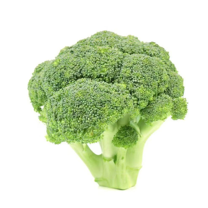 甜杆西兰苔苗秧苗早熟西蓝花西洋芥兰种籽芥蓝菜苔耐寒秋冬季菜苗