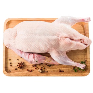 清真内蒙古新鲜生白条鸭整只冷冻生鲜鸭货鸭肉鲜冻鸭子家商用烤鸭