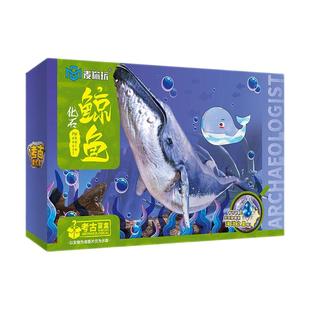 儿童考古恐龙化石挖掘diy玩具宝石开采寻宝手工创意宝宝礼物盲盒2