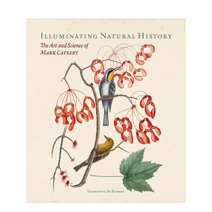 【预售】英国博物学家马克·凯茨比Mark Catesby自然动植物绘画Illuminating Natural History英文原版进口画册插画美术艺术图书