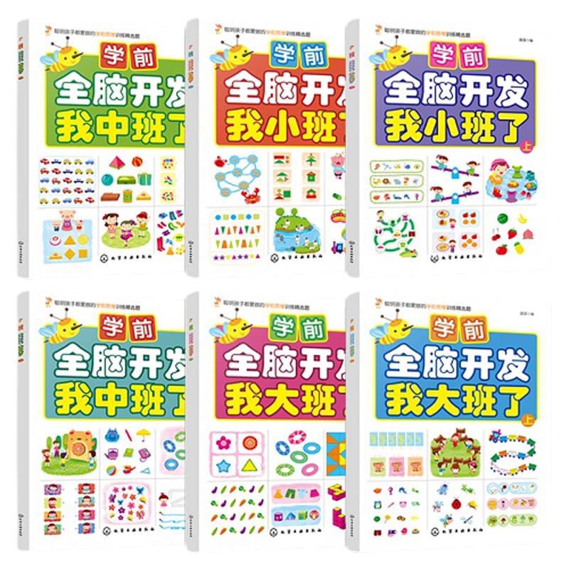 学前全脑开发练习 全6册 3-4-5-6岁儿童幼儿园小中大学前班幼小衔接教材全套大脑思维训练左右脑开发早教启蒙书籍