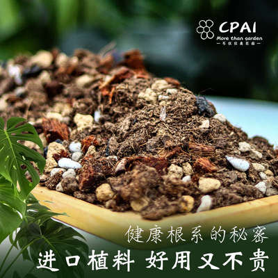 天南星科专用土龟背竹营养土秋海棠蔓绿绒花烛海芋进口泥炭热植土