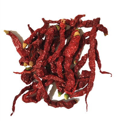 新疆包邮沙湾安集海辣皮子线椒