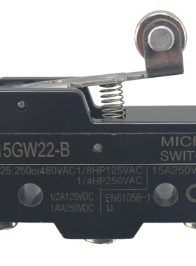 乐清CCCZ-15GW22-BGQ-B微动开关
