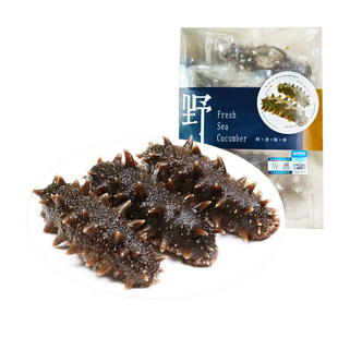 大连海参即食刺参鲜活辽参年货野生海生500g特大号单个装新鲜底播