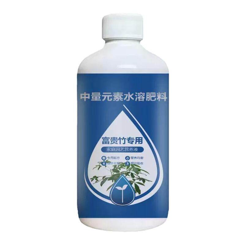 富贵竹专用营养液治叶子发黄生根