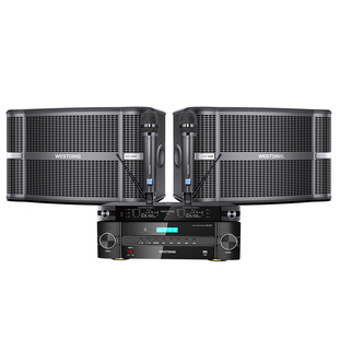 威斯汀A9家庭ktv音响套装卡拉ok家用组合音箱功放k歌会议设备全套