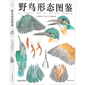 【任选】野鸟形态图鉴 观鸟图鉴鸟类科普博物学 关于野鸟的翼足喙眼 自然观察者用画笔记录下的飞羽邂逅  自然动物科学科普 后浪