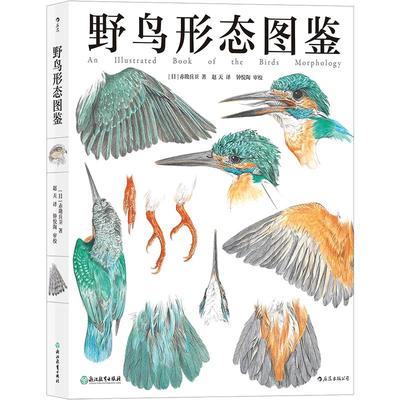 【任选】野鸟形态图鉴 观鸟图鉴鸟类科普博物学 关于野鸟的翼足喙眼 自然观察者用画笔记录下的飞羽邂逅  自然动物科学科普 后浪
